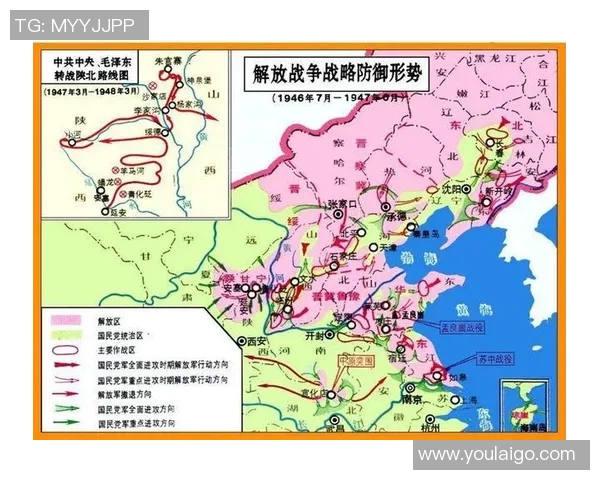 深入分析V5战队防守策略与战术布局的成功之道